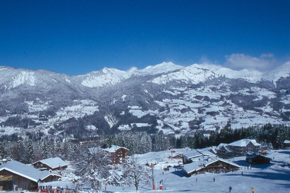 Morillon 1100 Photo : 1 sur 2
