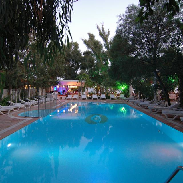 Hôtel Okaliptus photo 13