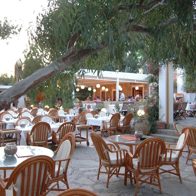 Hôtel Okaliptus photo 7