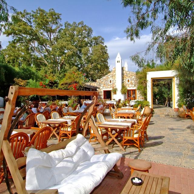 Hôtel Okaliptus photo 6