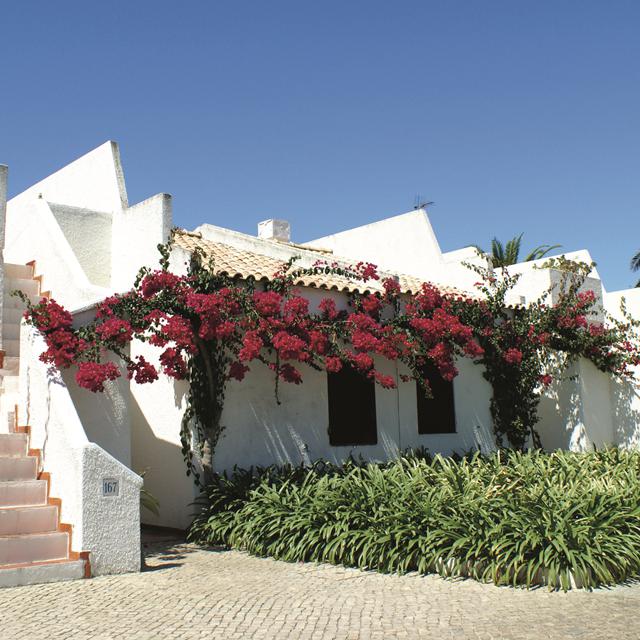 Appartements Pedras da Rainha photo 1