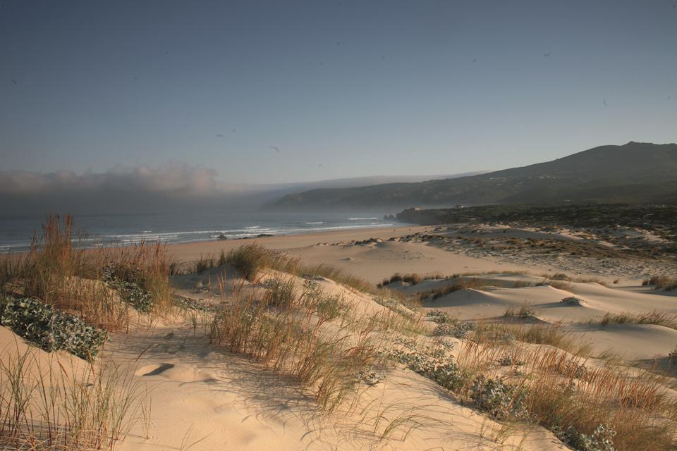 Cascais Photo : 16 sur 16