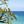 Puerto Calero