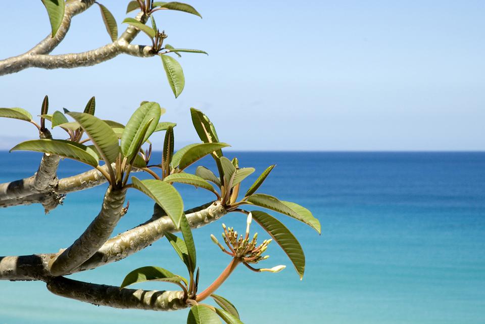 Puerto Calero Photo : 1 sur 1