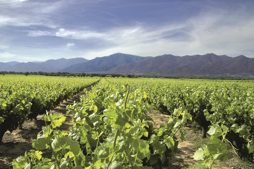 Languedoc-Roussillon Photo : 21 sur 25