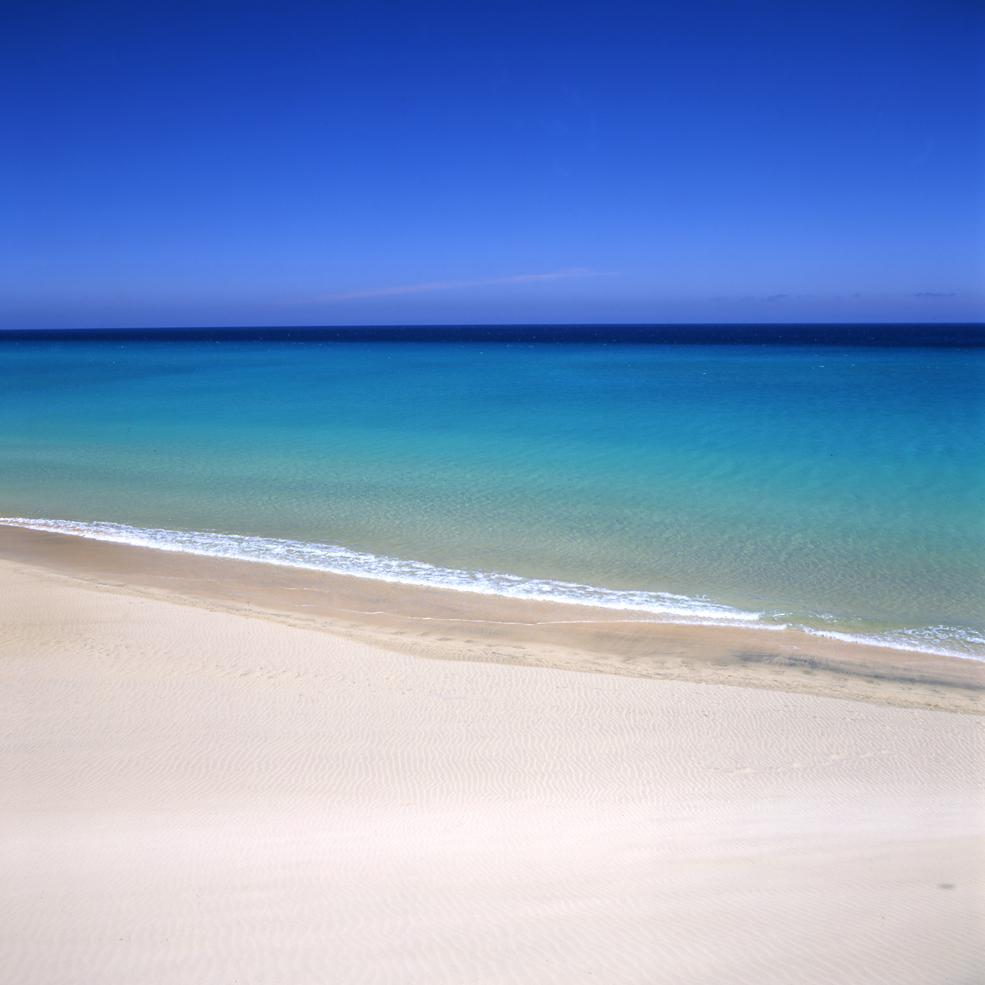 Jandía Playa Photo : 5 sur 11