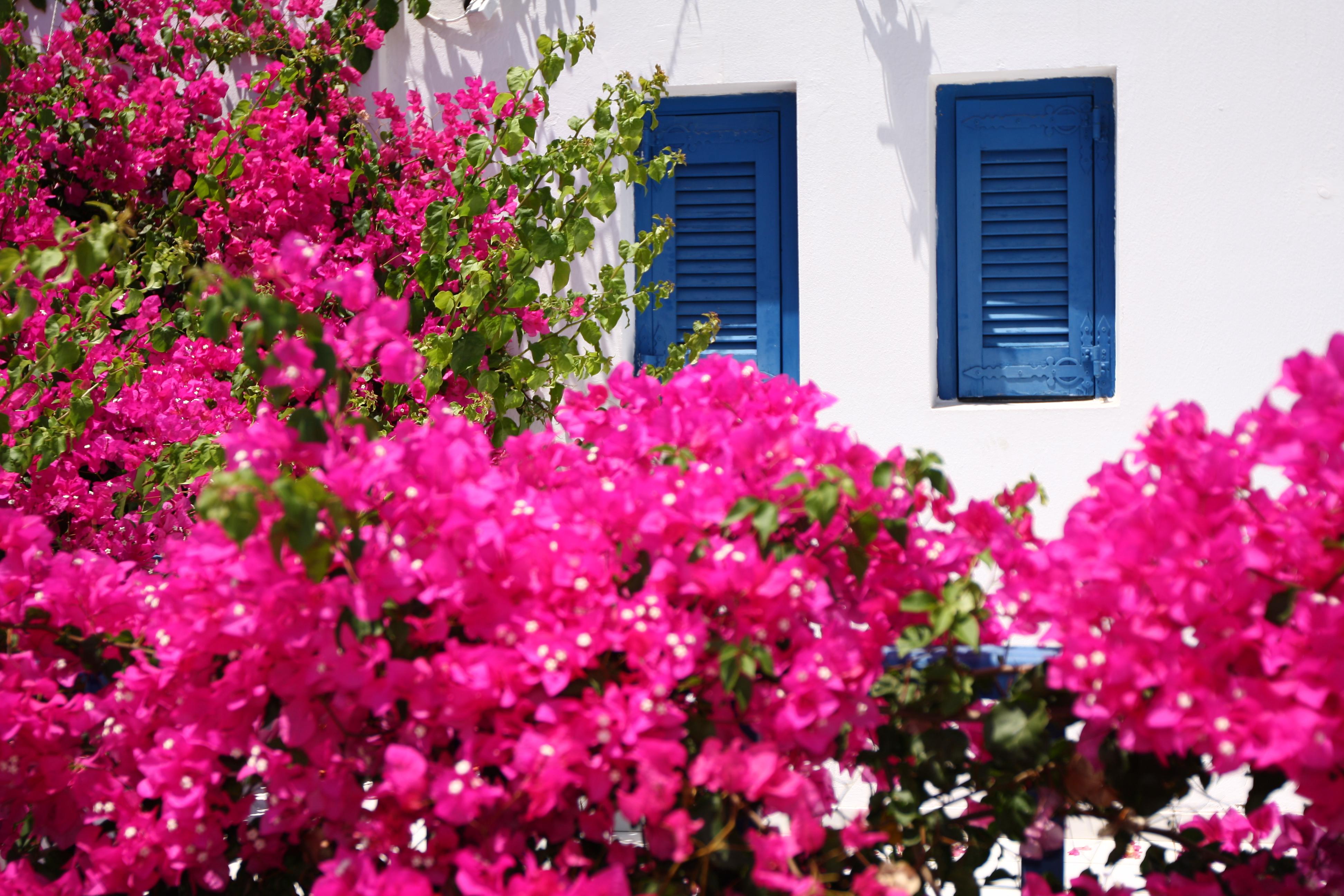 Koutouloufari Photo : 2 sur 4