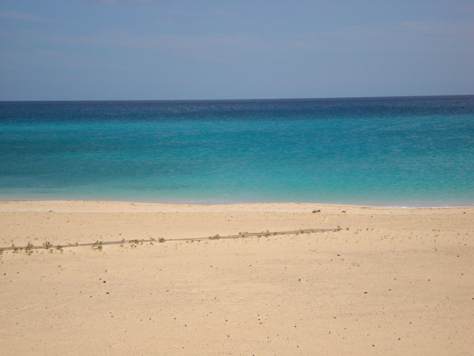 Corralejo Photo : 2 sur 10