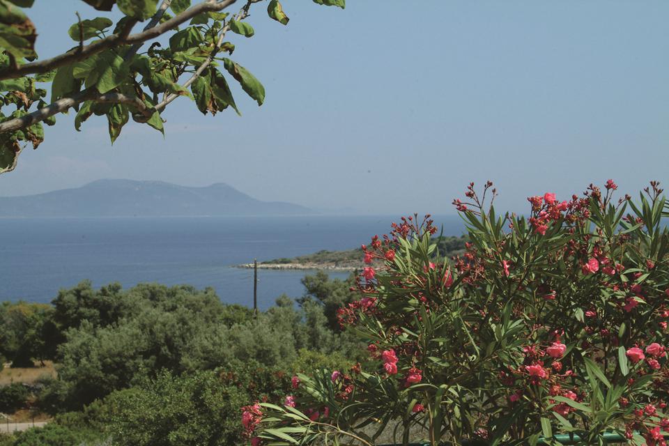 Nidri Photo : 4 sur 5