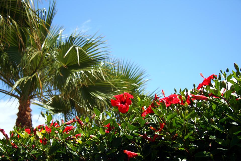 Costa Teguise Photo : 2 sur 9