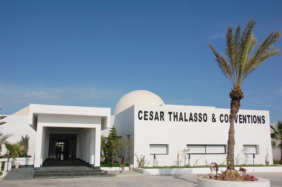 Djerba Photo : 21 sur 47