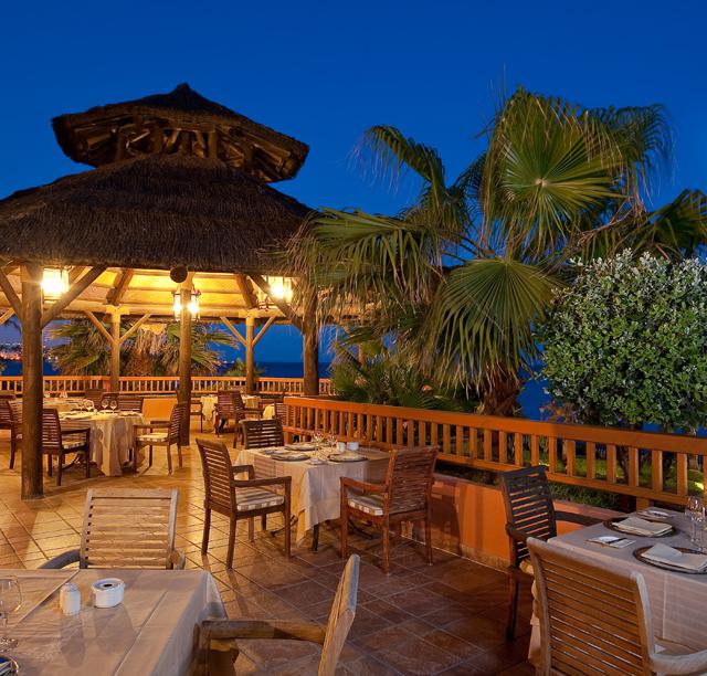 Elba Estepona Gran Hotel & Talasso SPA photo 26