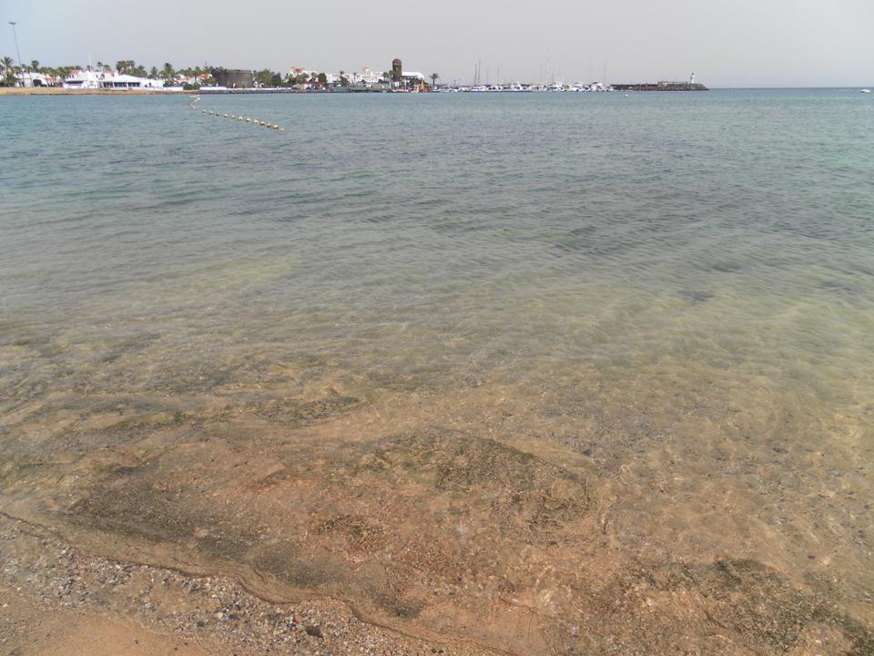 Caleta de Fuste Photo : 7 sur 14