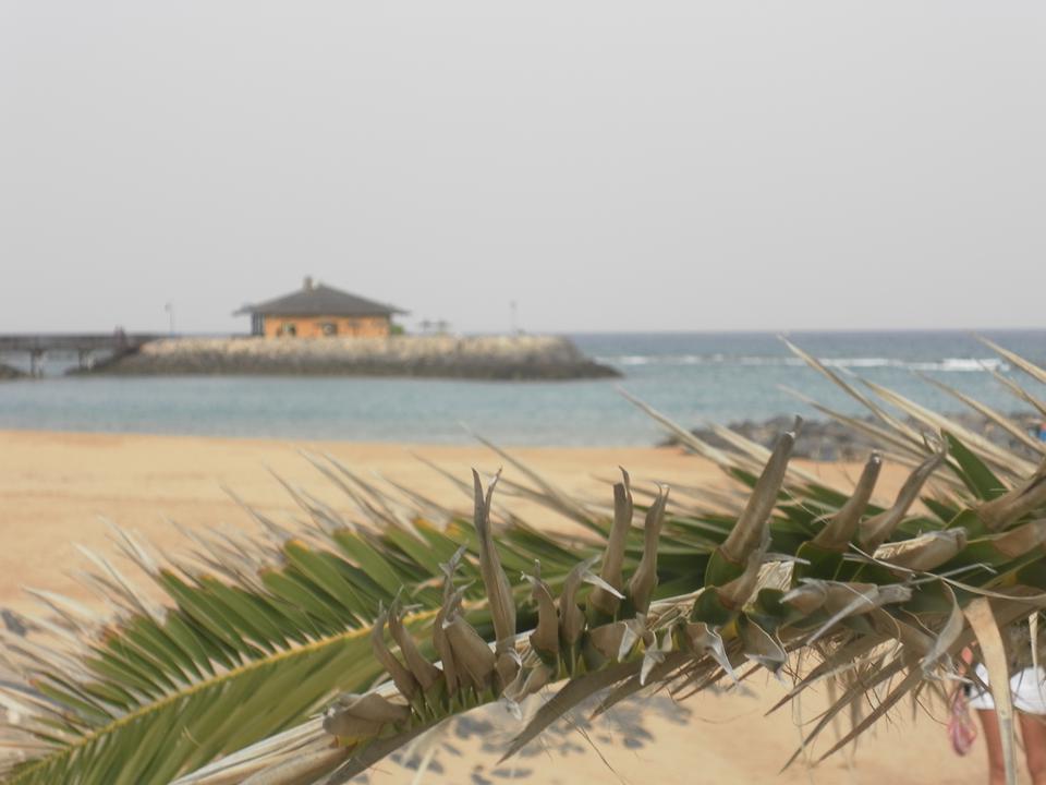 Caleta de Fuste Photo : 8 sur 14