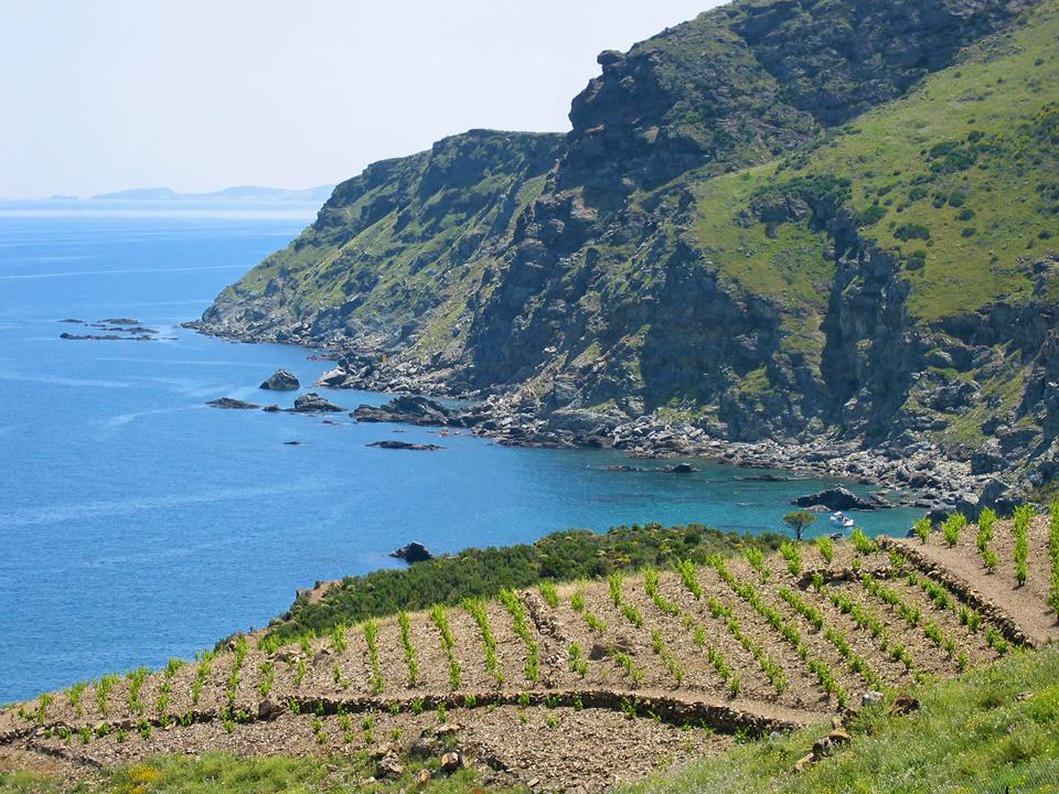 Languedoc-Roussillon Photo : 17 sur 25