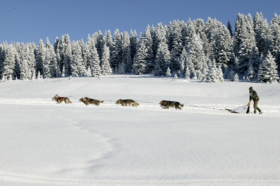 Les Gets Photo : 4 sur 4