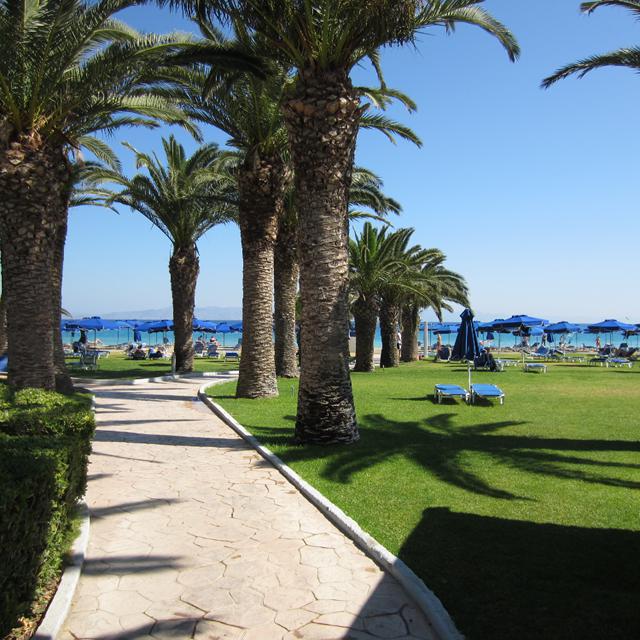 Hôtel Blue Horizon photo 17