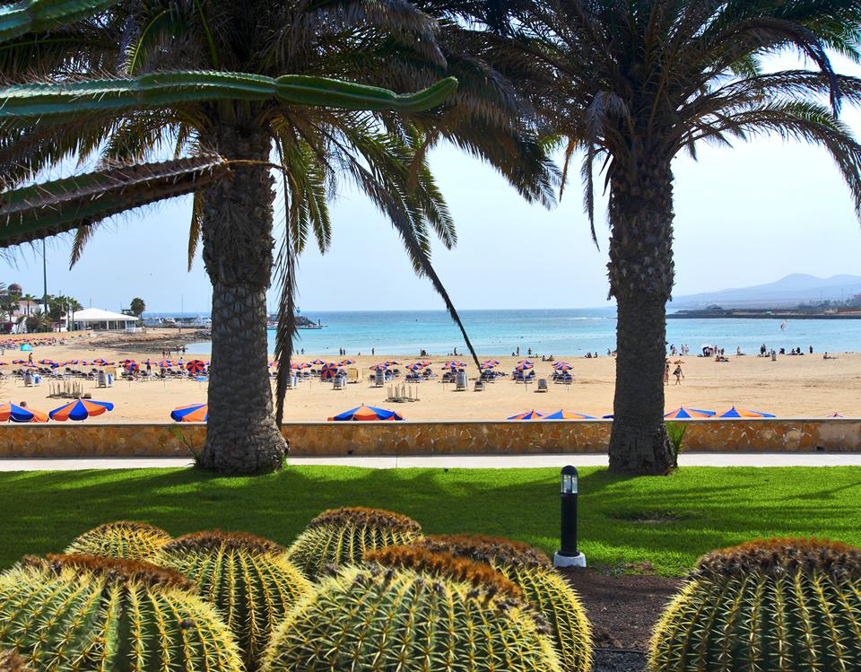 Caleta de Fuste Photo : 9 sur 14