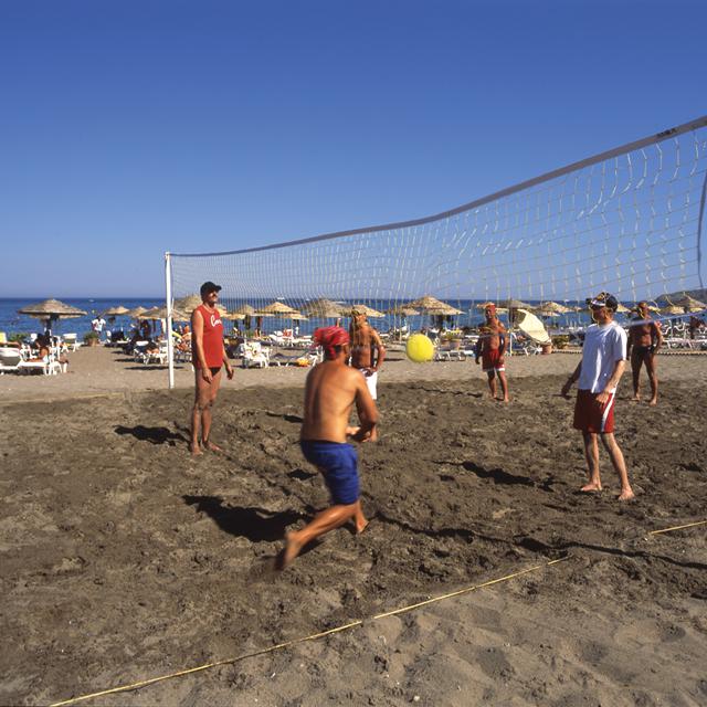 Hôtel Calypso Beach photo 10