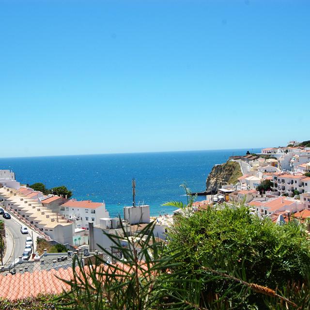 Monte Dourado photo 12