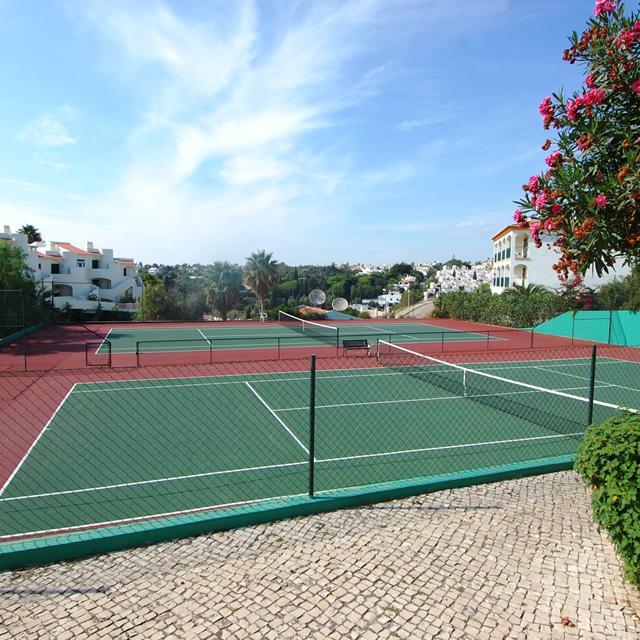 Monte Dourado photo 6