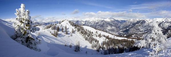 Photo de La Foret Blanche