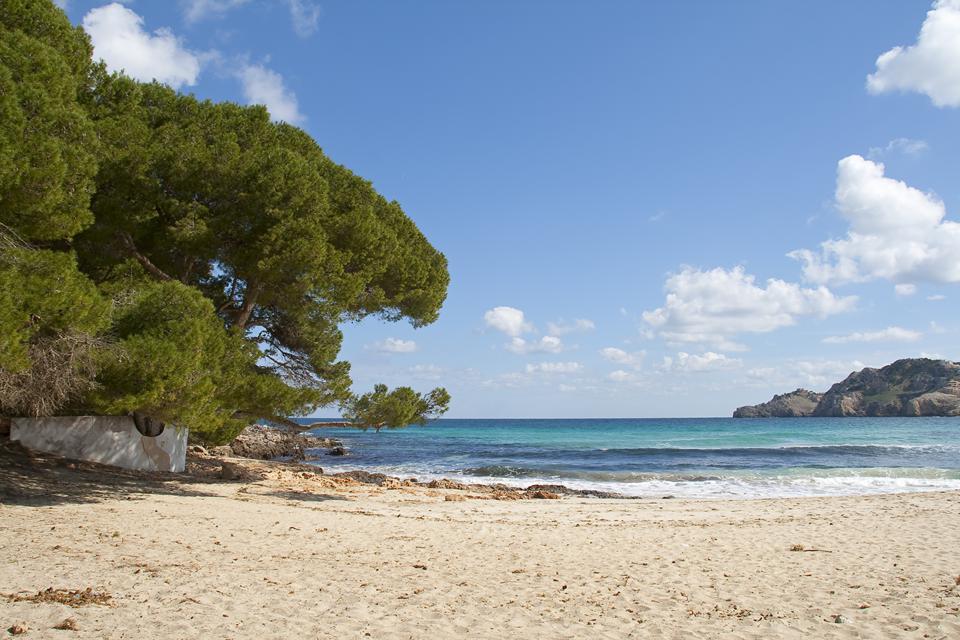Cala Ratjada Photo : 8 sur 9