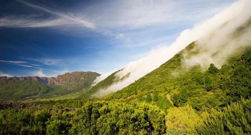 La Palma Photo : 1 sur 8