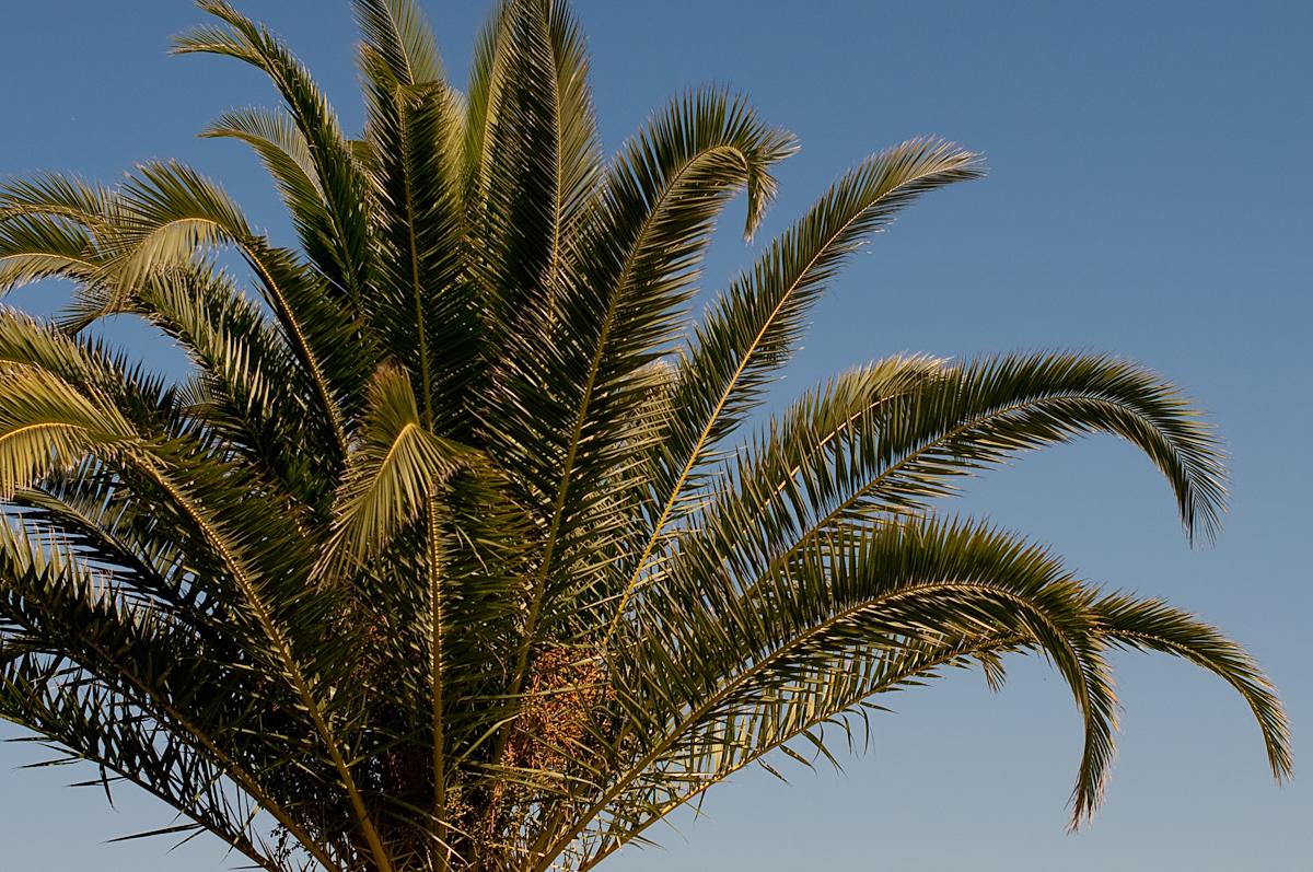 Aminossos Photo : 2 sur 2