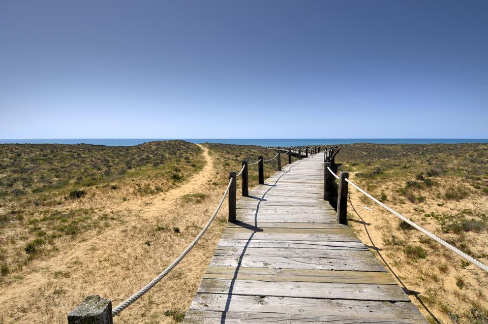 Praia da Galé/ dos Salgados  Photo : 1 sur 1