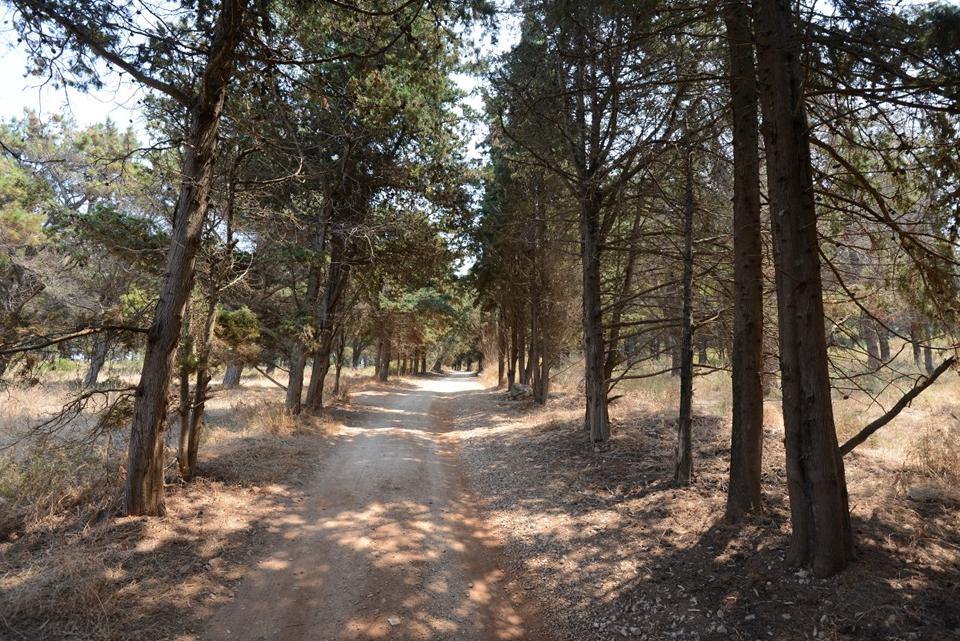 Agios Spyridon Photo : 6 sur 6