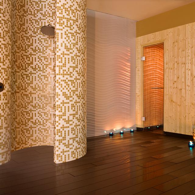 Hôtel Meliá Costa del Sol photo 33