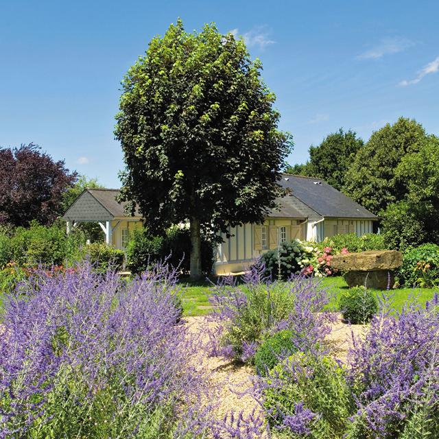 Resort Pierre et Vacances Normandy Garden photo 41
