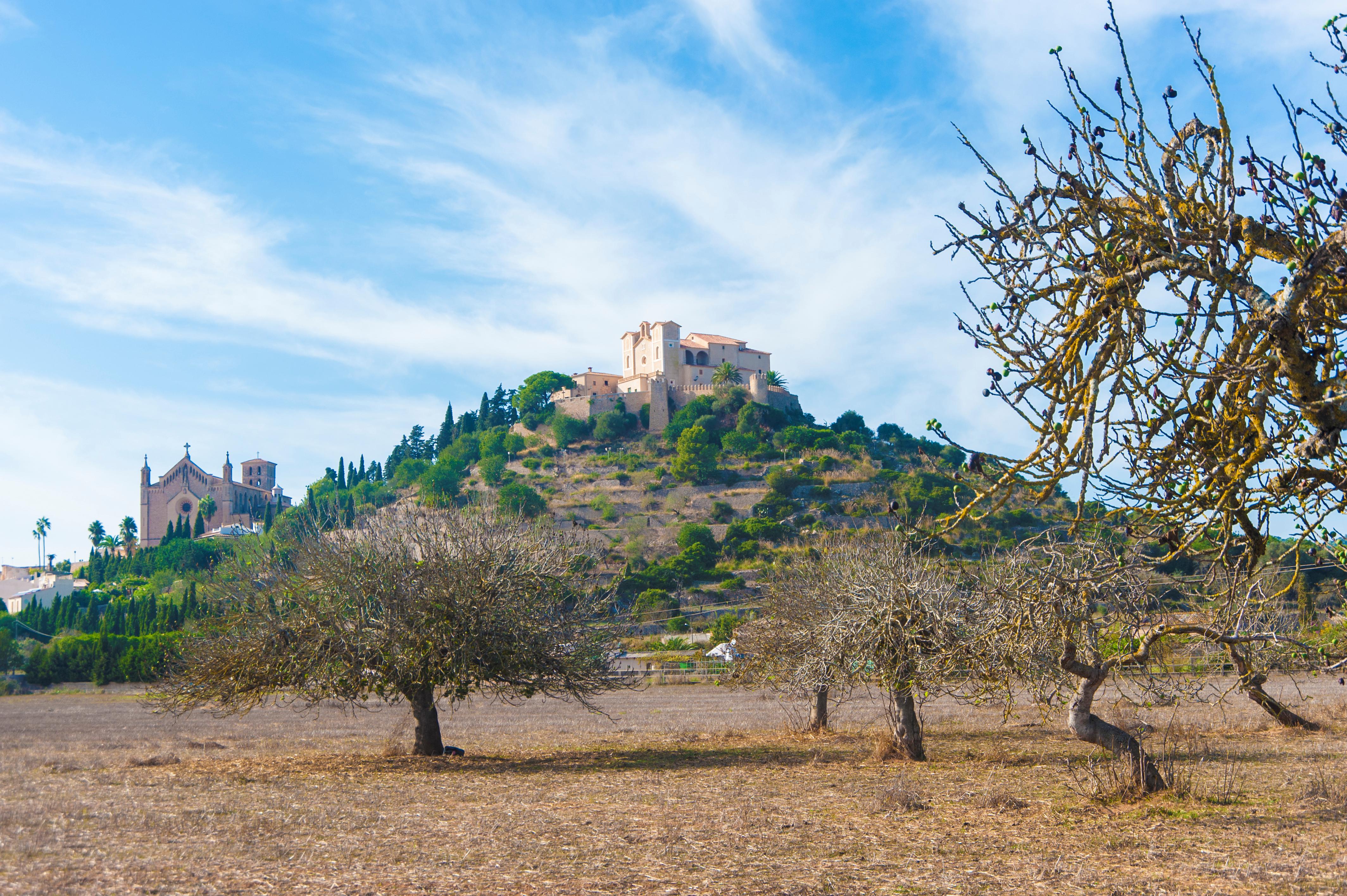 Alcudia Photo : 2 sur 4