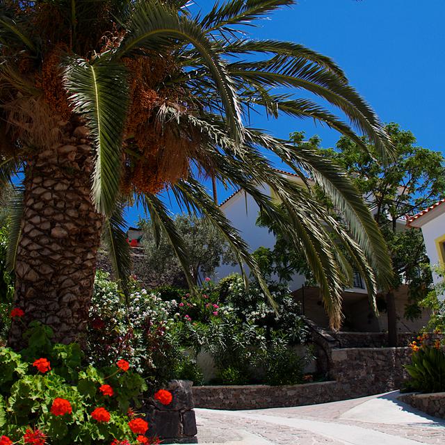 Hôtel Panorama photo 14