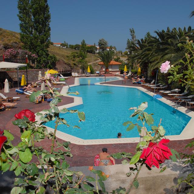 Hôtel Sunrise Resort - Logement et petit-déjeuner photo 23