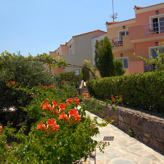 Hôtel Sunrise Resort - Logement et petit-déjeuner photo 21