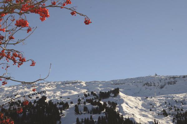Résidence Gémeaux photo 2