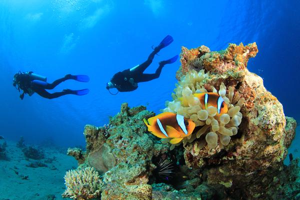 Photo de Marsa Alam
