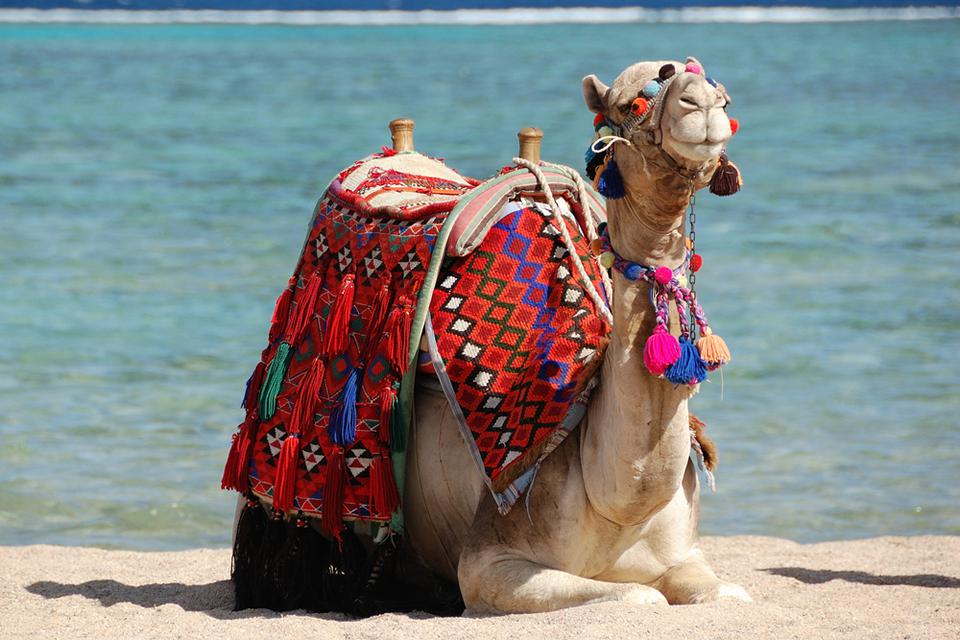 Marsa Alam Photo : 2 sur 5
