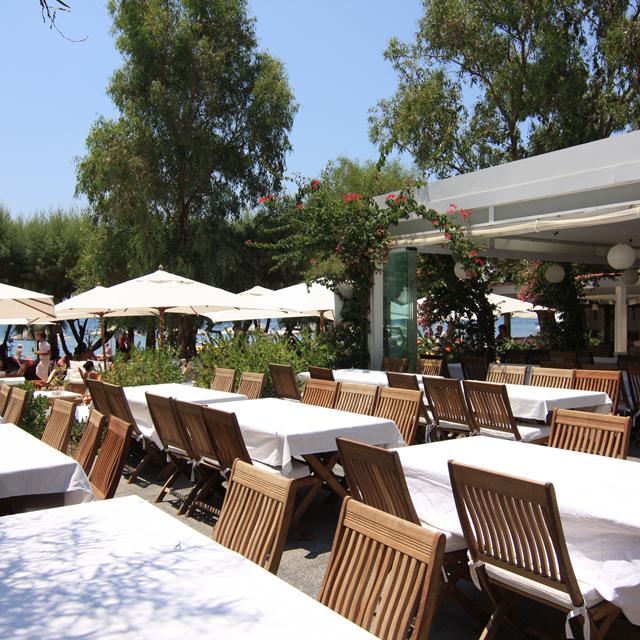 Hôtel Okaliptus photo 4