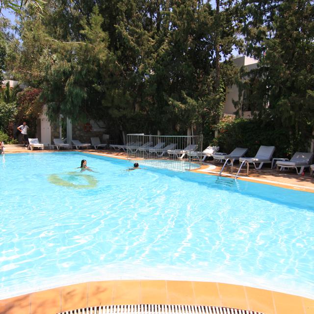Hôtel Okaliptus photo 9