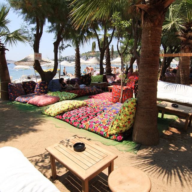 Hôtel Okaliptus photo 11