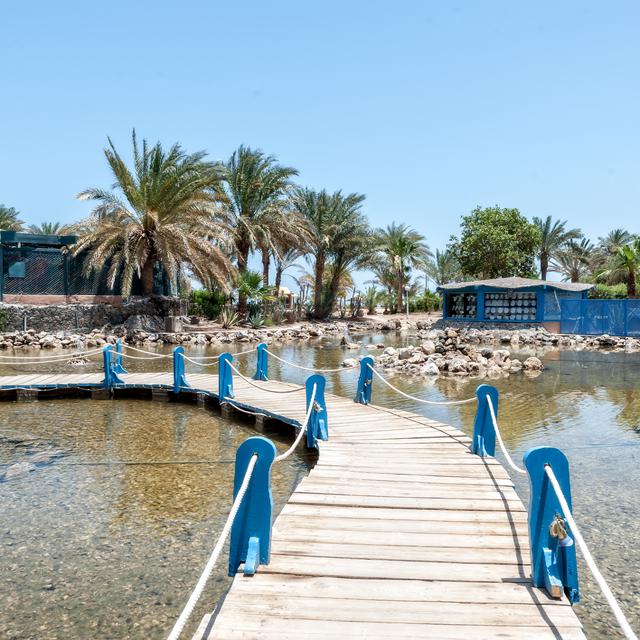 Club Paradisio El Gouna photo 6