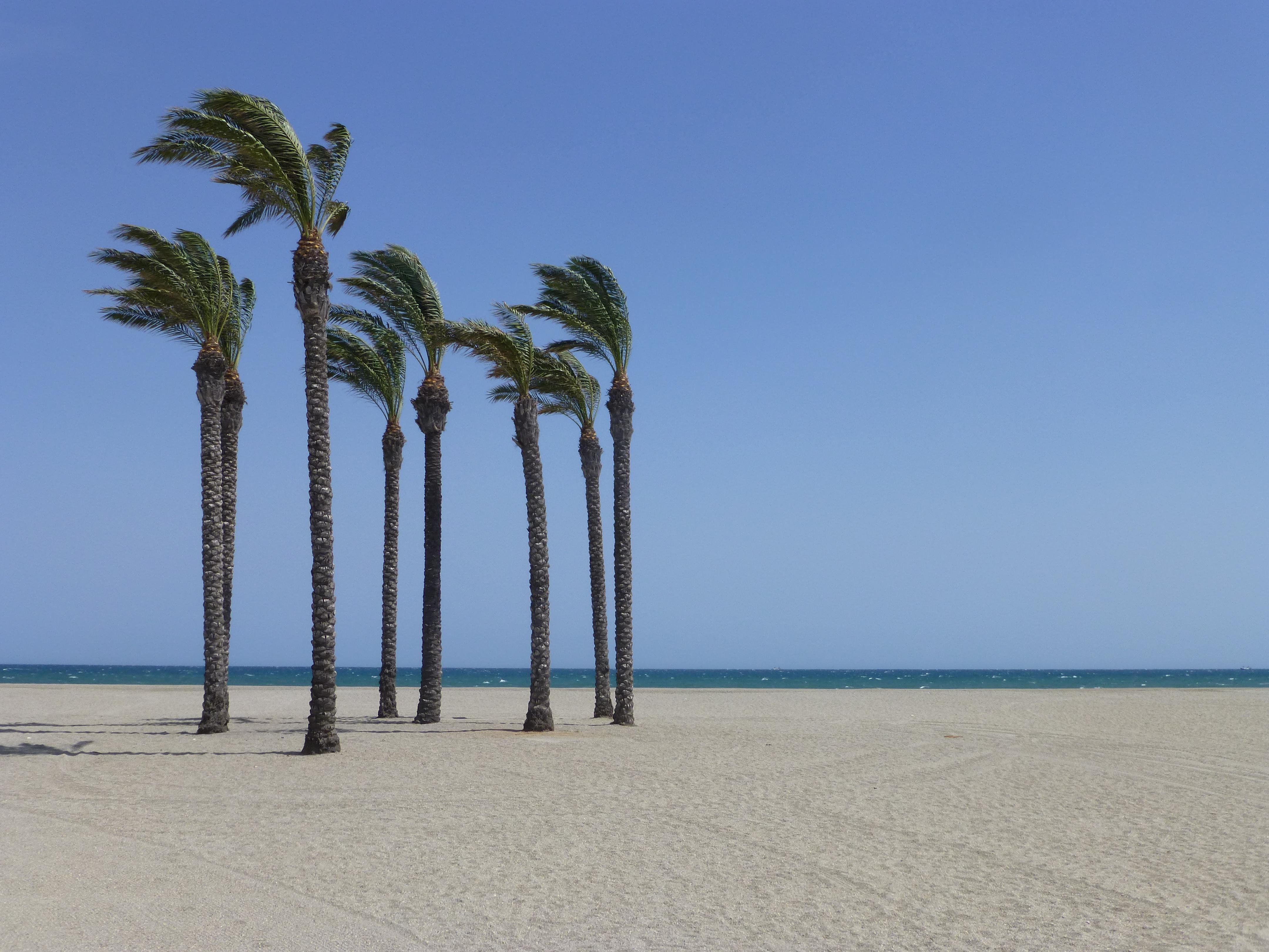 Roquetas de Mar Photo : 6 sur 13