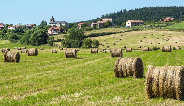 Photo de Rignac