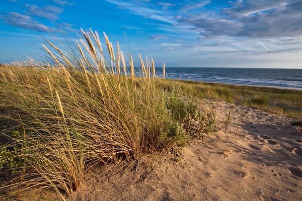 Photo de Longeville sur Mer