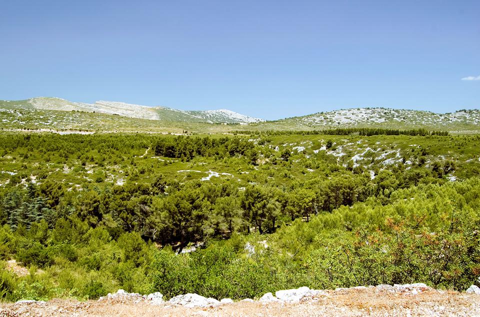 Languedoc-Roussillon Photo : 10 sur 25