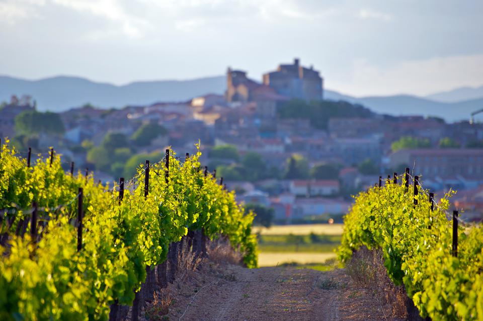 Languedoc-Roussillon Photo : 7 sur 25