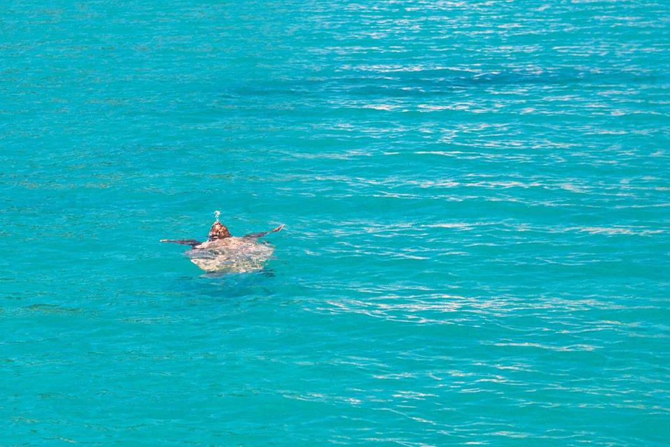 Zakynthos Photo : 22 sur 29